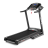 BH FITNESS PIONEER R2 Беговая дорожка оптом