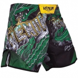 Шорты Venum venshorts0296, фото 1