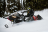 Снегоход BRP Ski-Doo Expedition LE 20″ 900 Ace (2023) оптом