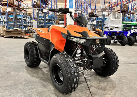 Квадроцикл SHARMAX Cross 200 (2024) оптом, фото 22