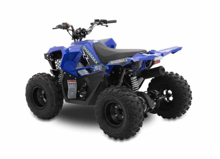 Квадроцикл SHARMAX Cross 200 (2024) оптом, фото 8