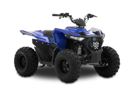 Квадроцикл SHARMAX Cross 200 (2024) оптом, фото 4