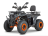 Квадроцикл YACOTA Dazzle 200 cc оптом