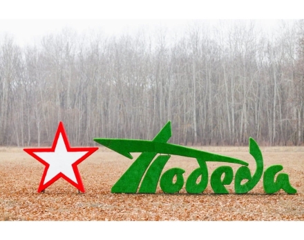 Топиари стела Победа со звездой I - газон Eco оптом, фото 3