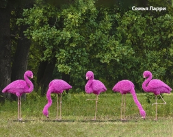 Топиари композиция фламинго розовый, семья Ларри, 5 шт - газон Eco, фото 1