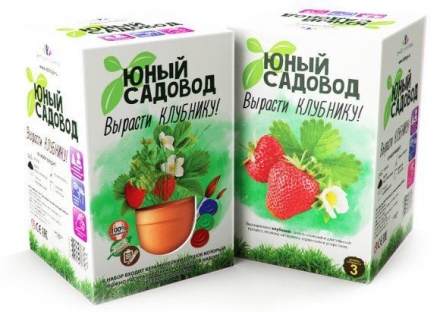 Юный садовод. Вырасти клубнику оптом, фото 1