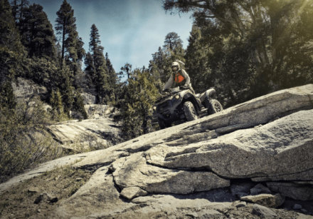 Квадроцикл BRUTE FORCE 750 4X4I EPS Camo (ПСМ) оптом, фото 6