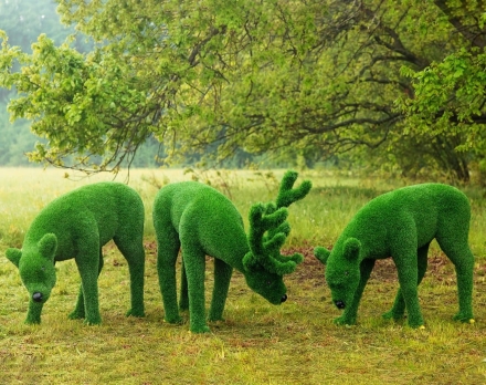 Топиари композиция Олени, олень и две самочки - газон Eco Green оптом, фото 1