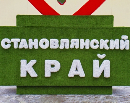 Топиари стела Любимый край, h=400 см - газон Eco оптом, фото 2