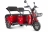 Трицикл Rutrike Экипаж Люкс оптом