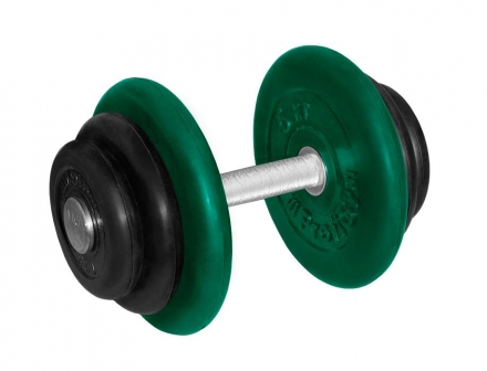 Гантель обрезиненная &quot;PROFIGYM&quot; с хромированной ручкой 18,5 кг, цветная  ГНЦ -18,5  оптом, фото 1