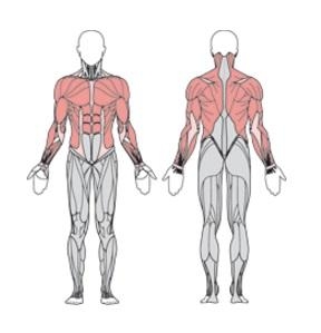 Балансир Flex горизонтальный УТЭ-032П  оптом, фото 4
