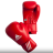 Перчатки боксерские AIBA оптом