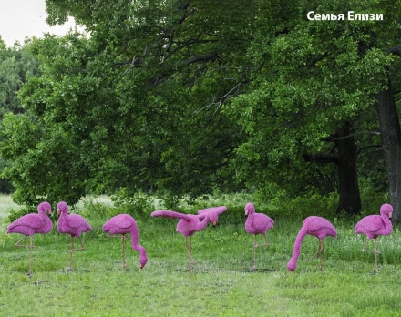 Топиари композиция фламинго розовый, семья Елизи, 7 шт - газон Eco оптом, фото 1