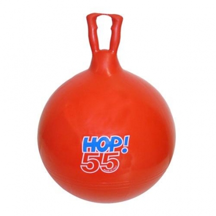 Мяч для прыжков с ручками HOP 55 8055 оптом, фото 1