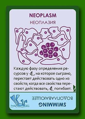 Эволюция: Континенты оптом, фото 4