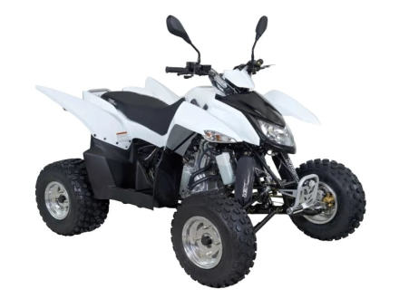 Квадроцикл SYM QuadRaider 300 SS оптом, фото 2