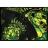 Футболка Hardcore Training hctshirt0155 оптом