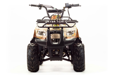 Квадроцикл MOTOLAND 110 Rider (2021 Г.) оптом, фото 8