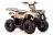 Квадроцикл MOTOLAND 110 Rider (2021 Г.) оптом