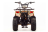 Квадроцикл MOTOLAND 110 Rider (2021 Г.) оптом