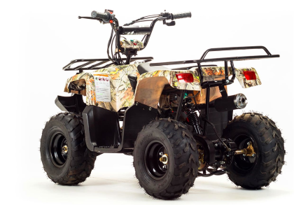 Квадроцикл MOTOLAND 110 Rider (2021 Г.) оптом, фото 3