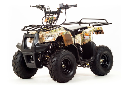 Квадроцикл MOTOLAND 110 Rider (2021 Г.) оптом, фото 1