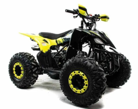 Квадроцикл MOTOLAND 125 Raptor оптом, фото 7