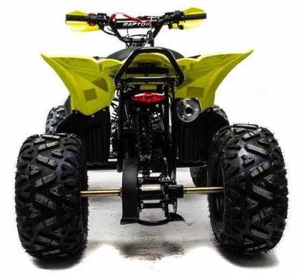 Квадроцикл MOTOLAND 125 Raptor оптом, фото 4