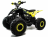 Квадроцикл MOTOLAND 125 Raptor оптом
