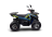 Квадроцикл AVANTIS Ray 8 Premium оптом