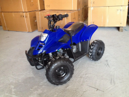 Квадроцикл RAPTOR 110, фото 2 Квадроцикл RAPTOR 110, фото 2