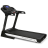 Беговая дорожка CARBON PREMIUM WORLD RUNNER T2 оптом