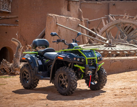 Квадроцикл РМ 650-2 (ПСМ) оптом, фото 9