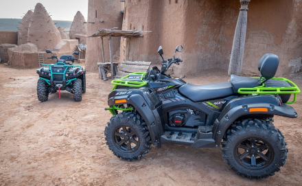 Квадроцикл РМ 650-2 (ПСМ) оптом, фото 7