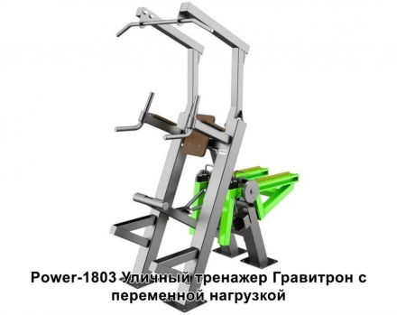 Спортивная площадка S-1021 GTO оптом, фото 6