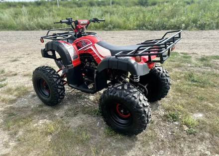 Квадроцикл RAPTOR Madman 200 All оптом, фото 7