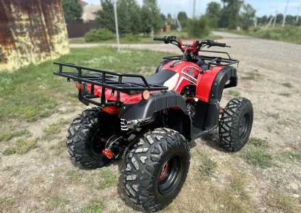 Квадроцикл RAPTOR Madman 200 All оптом, фото 6