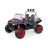 Детский электромобиль Peg Perego Polaris RZR 900 XP оптом
