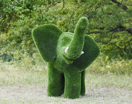 Топиари слон Лермон - газон Premium оптом, фото 3