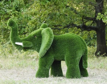 Топиари слон Лермон - газон Premium оптом, фото 1