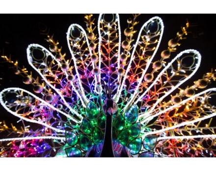 Световая фигура Павлин №3 005 оптом, фото 5