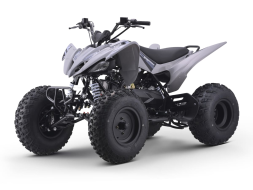 Квадроцикл SHARMAX Raizer Race Cup 250, фото 1 Квадроцикл SHARMAX Raizer Race Cup 250, фото 1