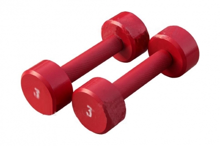  Гантель «ProfiGym» неразборная с полимерным покрытием, 3 кг  ГНП-3 оптом, фото 1