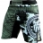Шорты Hardcore Training hctshorts034 оптом