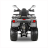 Квадроцикл GLADIATOR F200 Lux Plus оптом