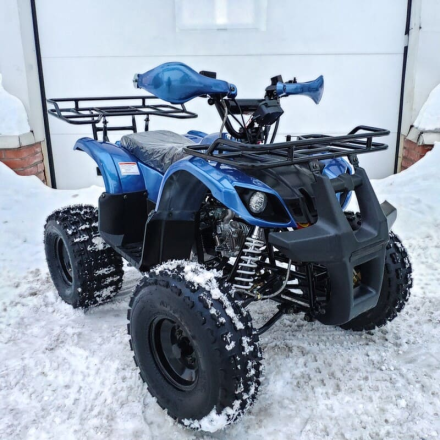 Квадроцикл MOTOLAND 125 Fox A оптом, фото 8