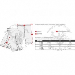 Шорты Hayabusa hayshorts063, фото 2