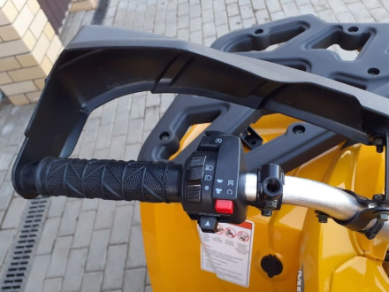 Квадроцикл MOTOLAND ATV 200 Wild Track оптом, фото 16