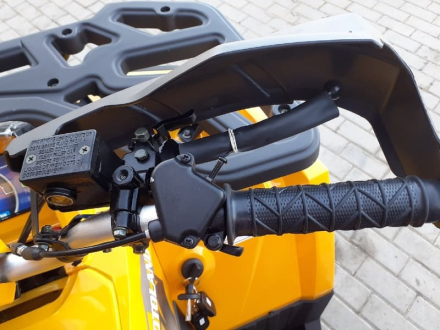 Квадроцикл MOTOLAND ATV 200 Wild Track оптом, фото 12